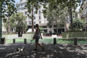 Ζέστη Καύσωνας