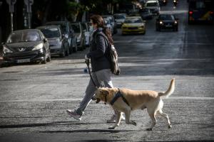 κωδικός 6 άθληση σκύλος
