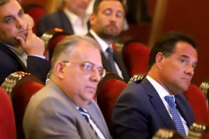 ΘΕΟΔΩΡΙΚΑΚΟΣ ΓΕΩΡΓΙΑΔΗΣ