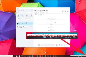 WEBEX Screenshot