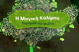 Η μαγική καλίμπα