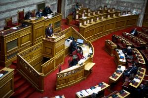 Ο Νίκος Παναγιωτόπουλος στη Βουλή