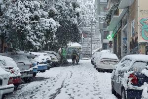 διανομέας Μήδεια