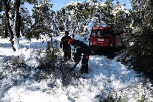 Πυροσβεστική Μήδεια