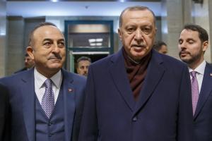 ΤΣΑΒΟΥΣΟΓΛΟΥ ΕΡΝΤΟΓΑΝ