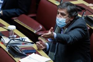 ΞΑΝΘΟΣ ΜΑΣΚΑ ΒΟΥΛΗ