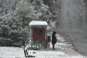 ΧΙΟΝΙ ΔΙΟΝΥΣΟΣ ΑΤΤΙΚΗ