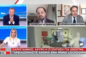 screenshot ΣΚΑΪ ΣΑΡΗΓΙΑΝΝΗΣ