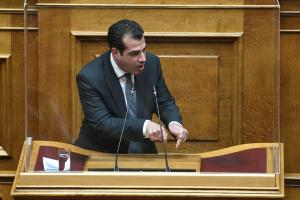 ΠΛΕΥΡΗΣ