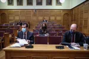 Προανακριτική