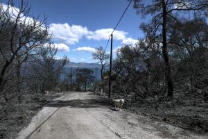 Καμένη γη στα Γεράνια Όρη