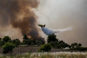 Φωτιά στον οικισμό Πευκενάς