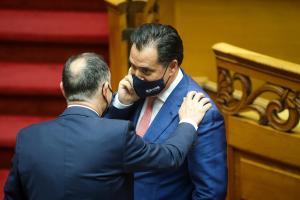 Ο Άδωνις Γεωργιάδης στη Βουλή