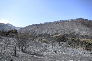 Γεράνεια Όρη Σχίνος πυρκαγιά φωτιά