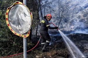Φωτιά πυροσβεστική
