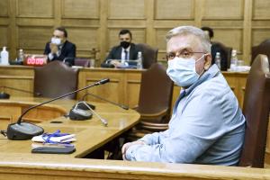 Ο Δήμος Βερύκιος στην Προανακριτική