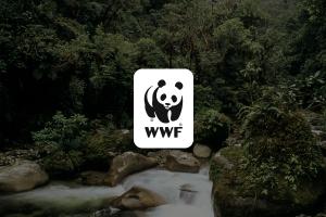 ΒΕΒΕΕΦ WWF