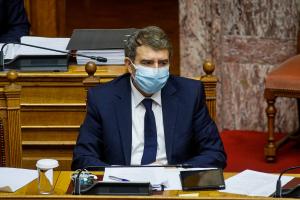 Χρυσοχοιδης Βουλή
