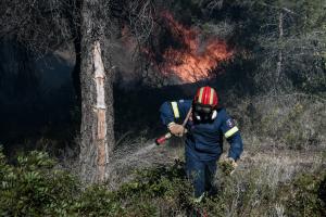 Πυροσβεστική φωτιά πυρκαγιά