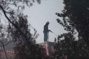 Πυρκαγιά στη Σταμάτα