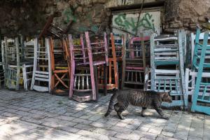 Καρέκλες σε κατάστημα εστίασης