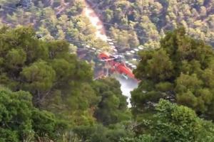 Πυρκαγιά στην Πάρνηθα