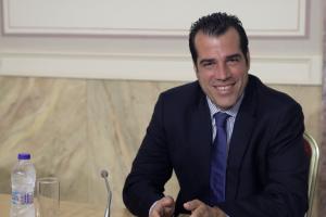 Πλεύρης