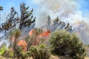 Πυρκαγιά στη Χίο