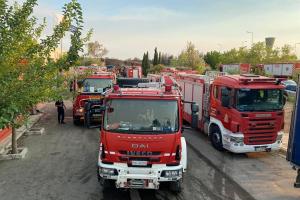 ΡΟΥΜΑΝΟΙ ΠΥΡΟΣΒΕΣΤΕΣ