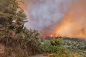 ΦΩΤΙΑ ΓΟΡΤΥΝΙΑ