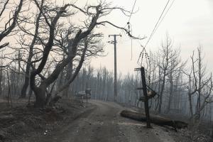 Πυρκαγιά Βαρυμπόμπη Κρυονέρι ΔΕΗ