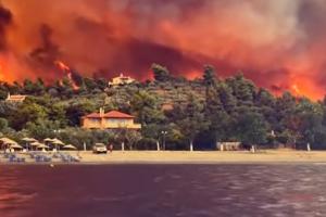 Πυρκαγιά στη Λίμνη Εύβοιας