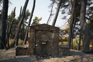 Πυρκαγιά Εύβοια Σκεπαστή