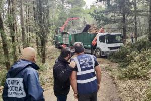 Ο Νίκος Χαρδαλιάς στο Τατόι