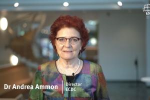 ECDC ΑΜΜΟΝ