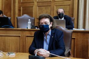Η Λίνα Μενδώνη στην Επιτροπή Μορφωτικών Υποθέσεων