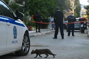 Περιπολικό της αστυνομίας