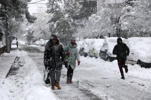 Χιόνια στην Πεύκη