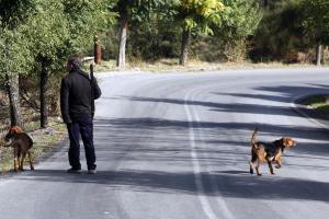 ΚΥΝΗΓΙ ΚΥΝΗΓΟΣ