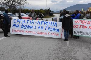 ΑΓΡΟΤΕΣ ΚΤΗΝΟΤΡΟΦΟΙ