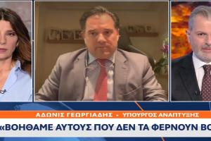 Ο Άδωνις Γεωργιάδης