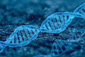 DNA