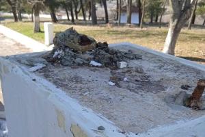 ΚΛΟΠΕΣ ΠΡΟΤΟΜΩΝ ΘΕΣΣΑΛΟΝΙΚΗ