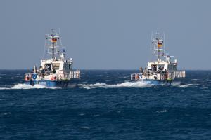 Frontex