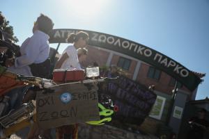 ΑΤΤΙΚΟ ΖΩΟΛΟΓΙΚΟ ΠΑΡΚΟ