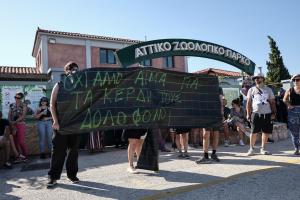 Αττικό Ζωολογικό Πάρκο