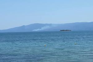 κάλαμος