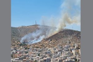 Κορυδαλλός φωτιά