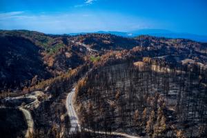 Καμένες εκτάσεις στην Αγία Άννα στη Βόρεια Εύβοια, Αύγουστος 2021.
