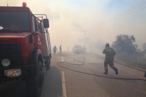 Πυροσβεστική σε φωτιά στη Φωκίδα